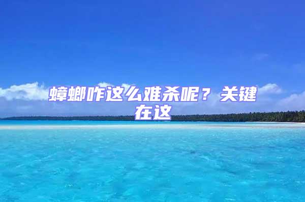 蟑螂咋這么難殺呢？關鍵在這