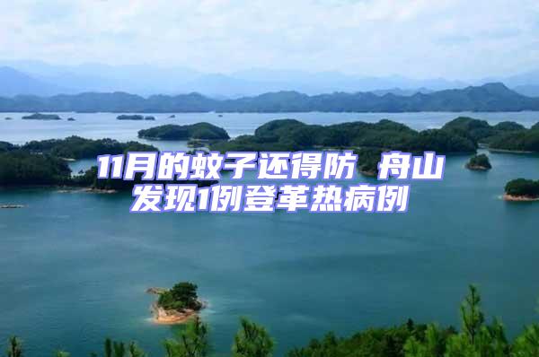 11月的蚊子還得防 舟山發(fā)現(xiàn)1例登革熱病例