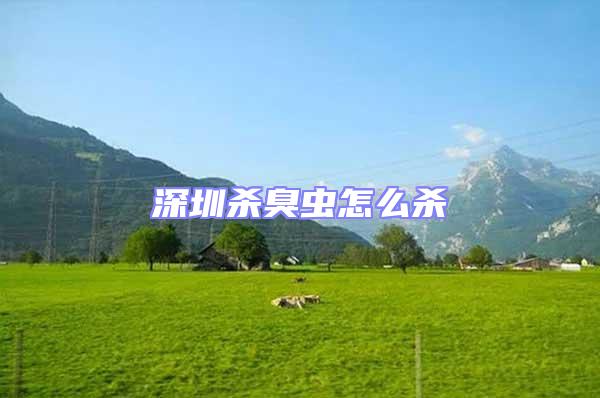 深圳殺臭蟲怎么殺