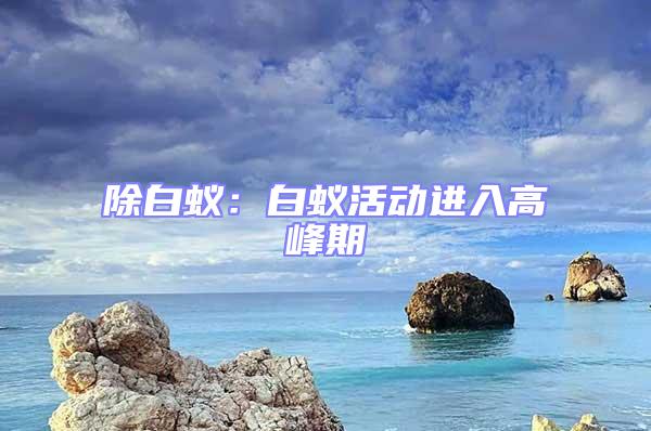 除白蟻：白蟻活動(dòng)進(jìn)入高峰期