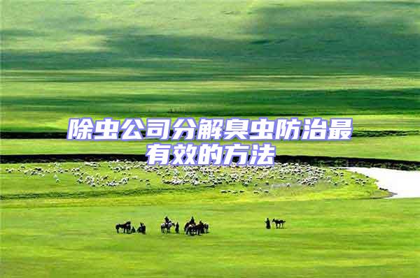 除蟲(chóng)公司分解臭蟲(chóng)防治最有效的方法