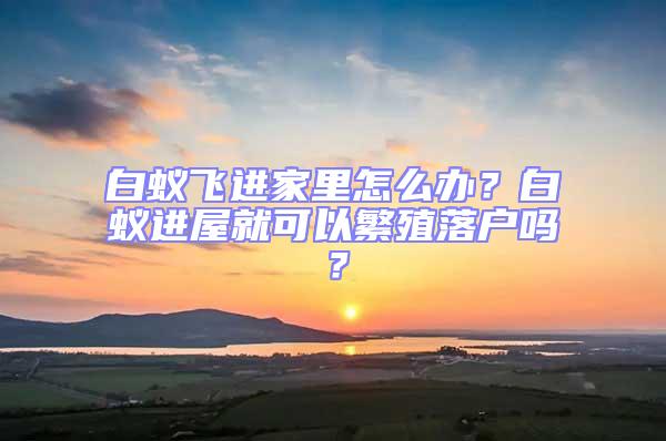 白蟻飛進(jìn)家里怎么辦？白蟻進(jìn)屋就可以繁殖落戶嗎？