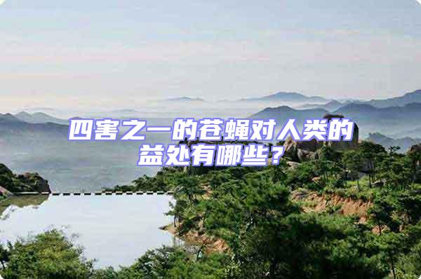 四害之一的蒼蠅對人類的益處有哪些？