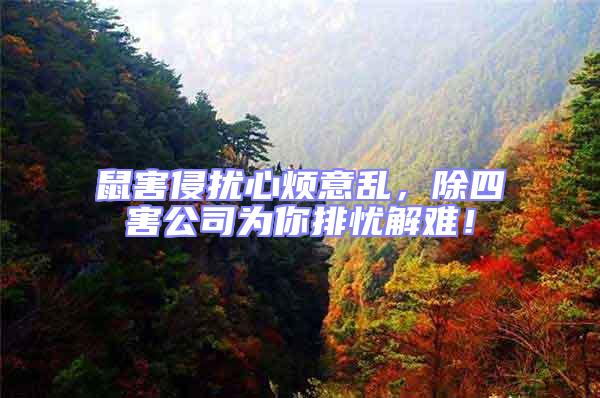 鼠害侵?jǐn)_心煩意亂，除四害公司為你排憂解難！