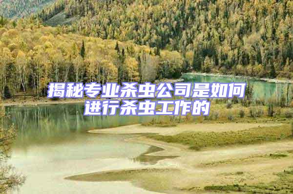 揭秘專業殺蟲公司是如何進行殺蟲工作的