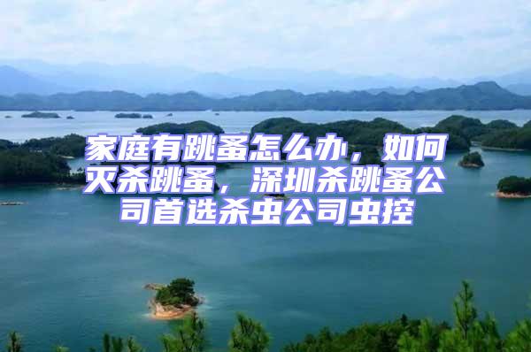 家庭有跳蚤怎么辦，如何滅殺跳蚤，深圳殺跳蚤公司首選殺蟲公司蟲控