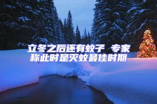 立冬之后還有蚊子 專家稱此時(shí)是滅蚊最佳時(shí)期