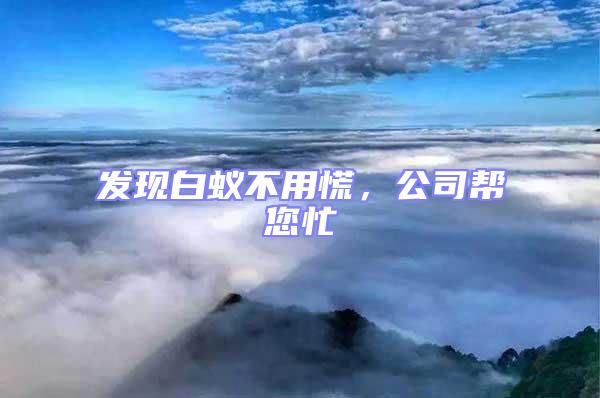 發現白蟻不用慌，公司幫您忙