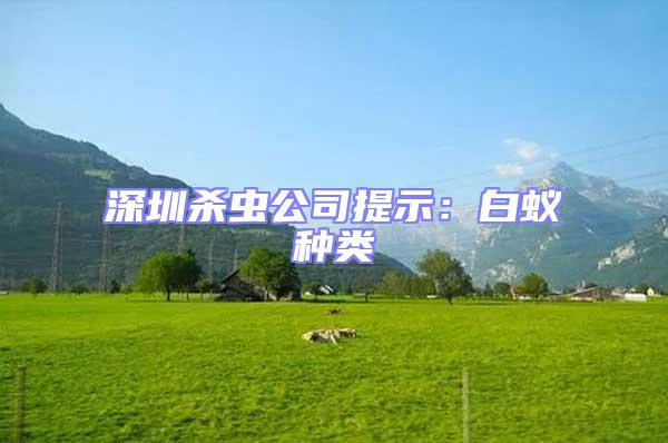 深圳殺蟲(chóng)公司提示：白蟻種類(lèi)