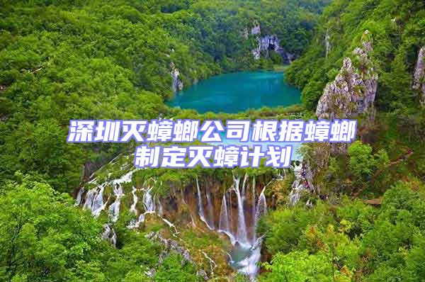 深圳滅蟑螂公司根據(jù)蟑螂制定滅蟑計劃