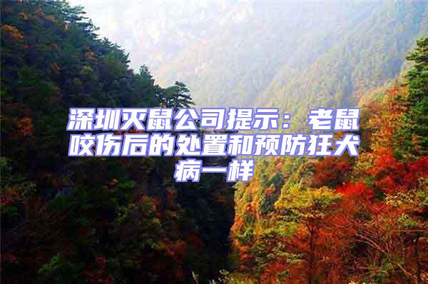 深圳滅鼠公司提示：老鼠咬傷后的處置和預(yù)防狂犬病一樣