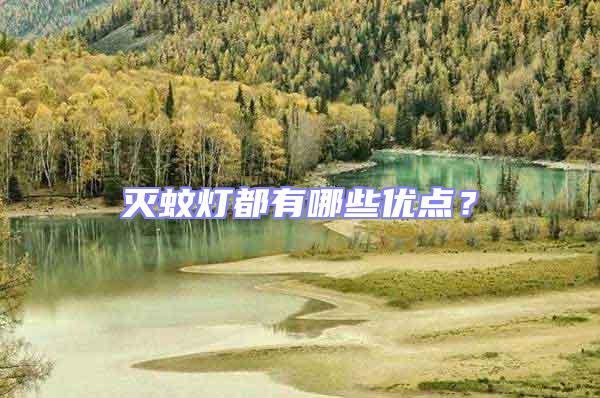 滅蚊燈都有哪些優(yōu)點(diǎn)？