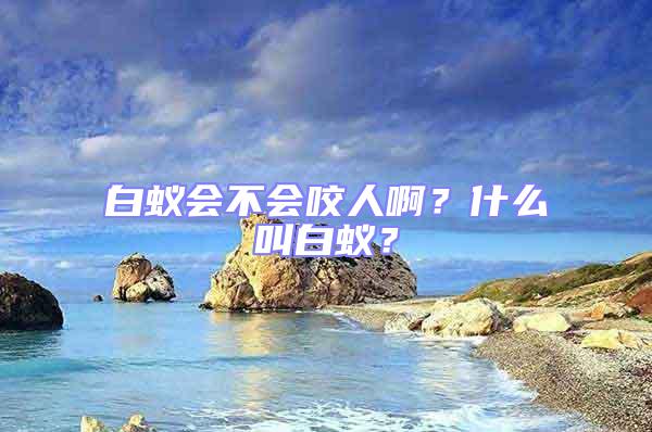 白蟻會不會咬人??？什么叫白蟻？