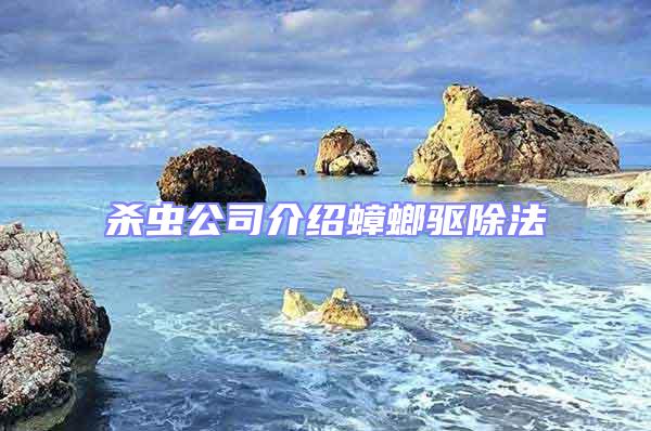殺蟲公司介紹蟑螂驅除法