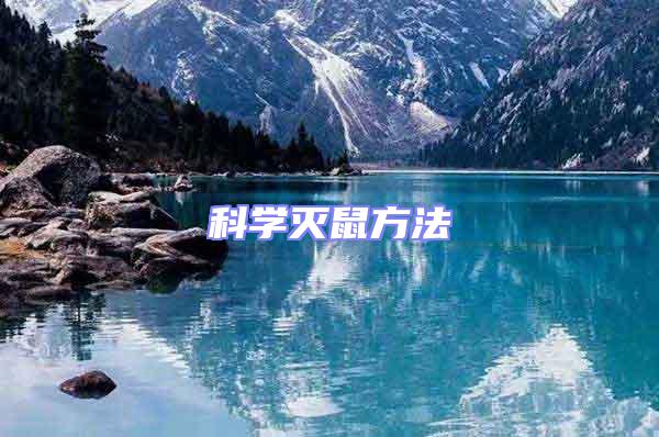 科學滅鼠方法