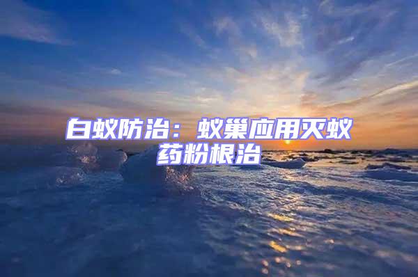 白蟻防治：蟻巢應用滅蟻藥粉根治