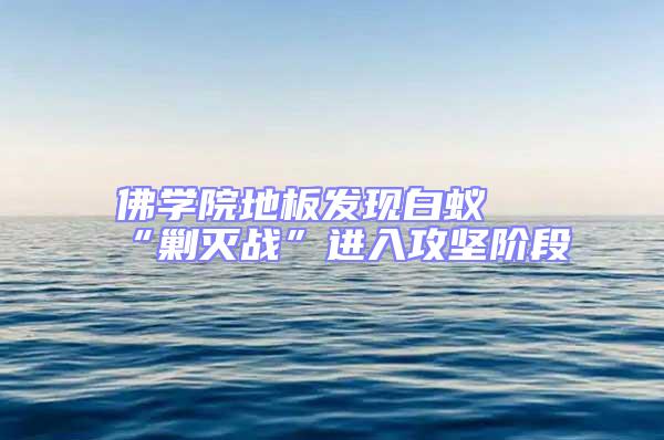 佛學院地板發現白蟻 “剿滅戰”進入攻堅階段