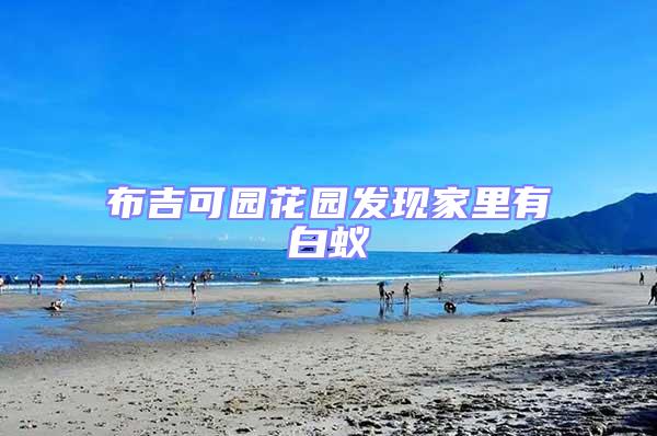 布吉可園花園發(fā)現(xiàn)家里有白蟻