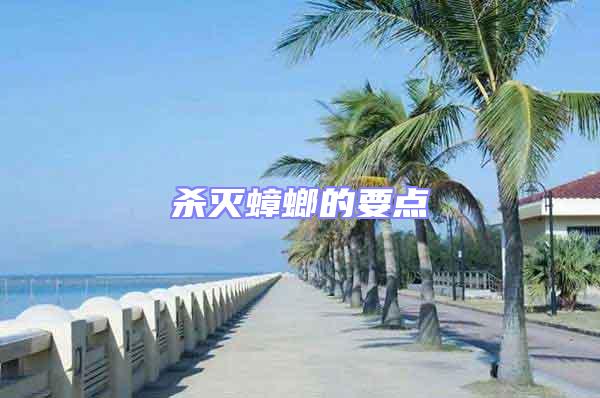 殺滅蟑螂的要點