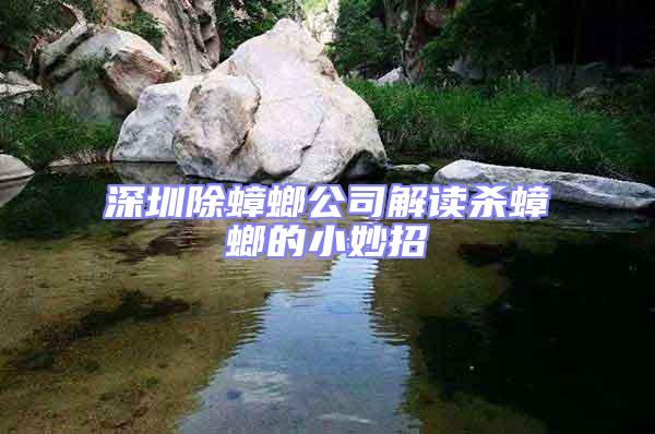 深圳除蟑螂公司解讀殺蟑螂的小妙招