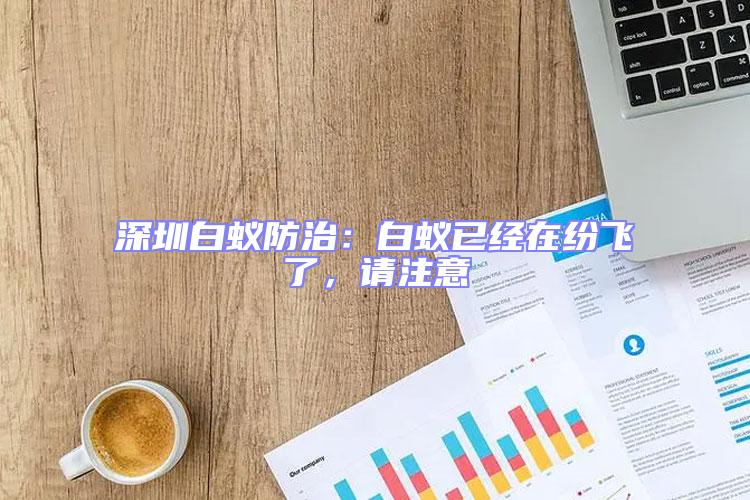 深圳白蟻防治：白蟻已經在紛飛了，請注意