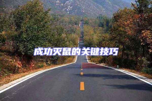 成功滅鼠的關(guān)鍵技巧