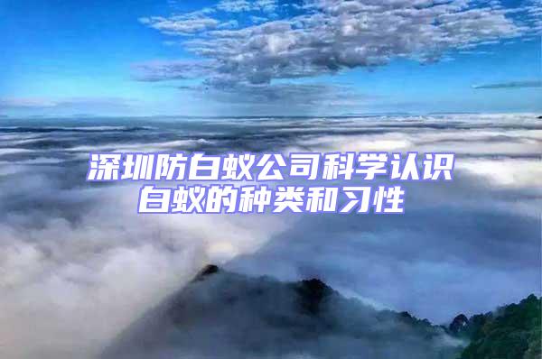 深圳防白蟻公司科學認識白蟻的種類和習性