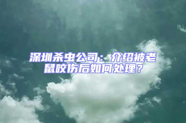 深圳殺蟲公司：介紹被老鼠咬傷后如何處理？