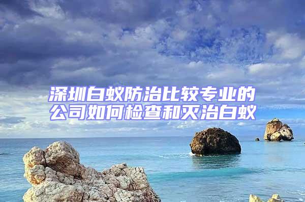 深圳白蟻防治比較專業(yè)的公司如何檢查和滅治白蟻