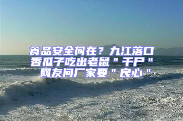 食品安全何在？九江落口香瓜子吃出老鼠＂干尸＂ 網(wǎng)友問廠家要＂良心＂