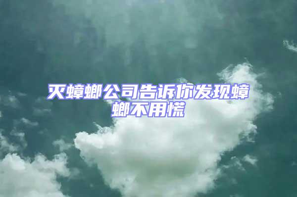 滅蟑螂公司告訴你發現蟑螂不用慌