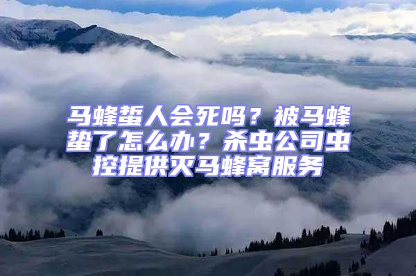 馬蜂蜇人會死嗎？被馬蜂蟄了怎么辦？殺蟲公司蟲控提供滅馬蜂窩服務(wù)