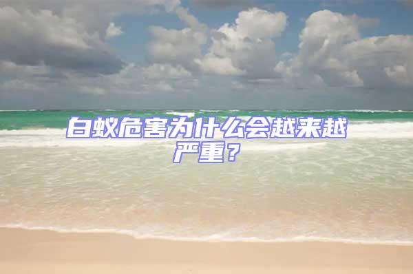 白蟻危害為什么會越來越嚴重？