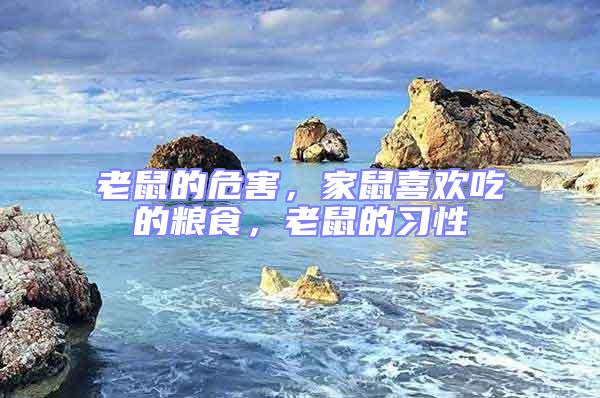 老鼠的危害，家鼠喜歡吃的糧食，老鼠的習性