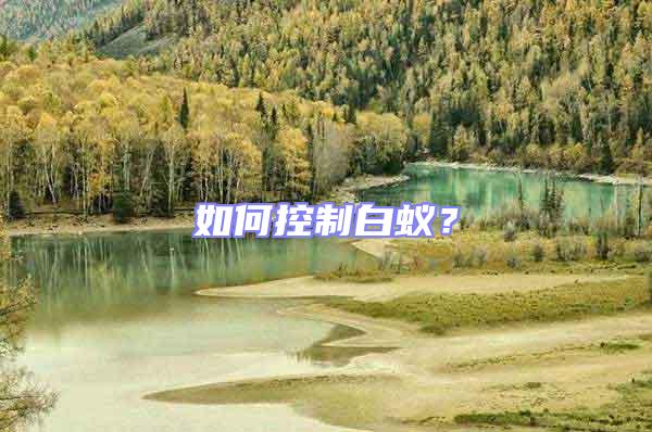 如何控制白蟻？