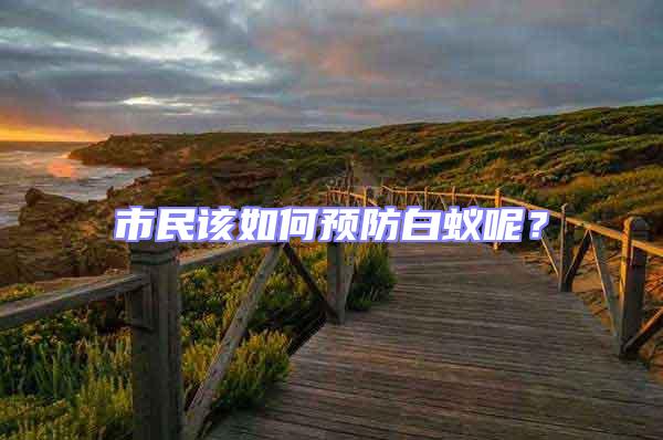 市民該如何預(yù)防白蟻呢？