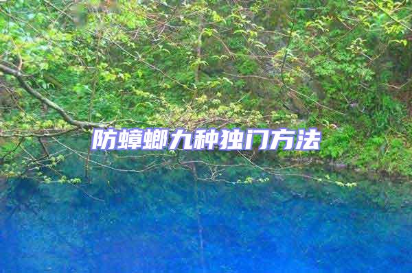 防蟑螂九種獨(dú)門方法