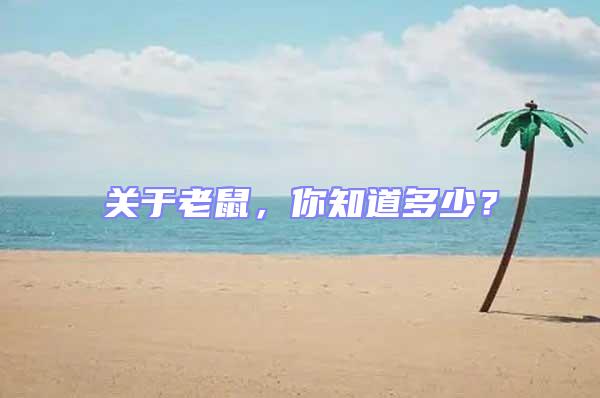關于老鼠，你知道多少？