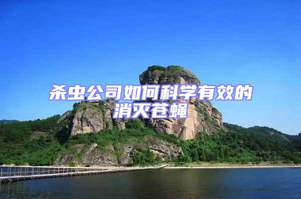殺蟲公司如何科學有效的消滅蒼蠅