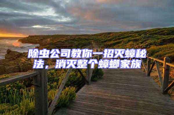 除蟲公司教你一招滅蟑秘法，消滅整個(gè)蟑螂家族