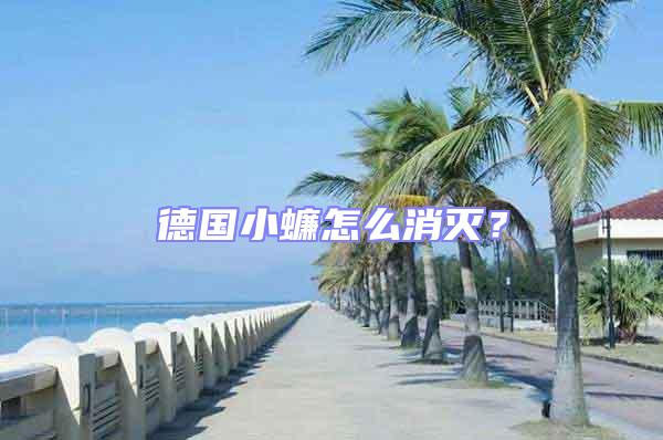 德國小蠊怎么消滅？