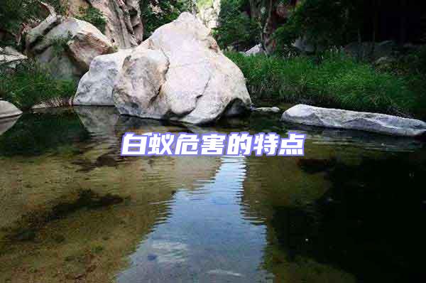 白蟻危害的特點