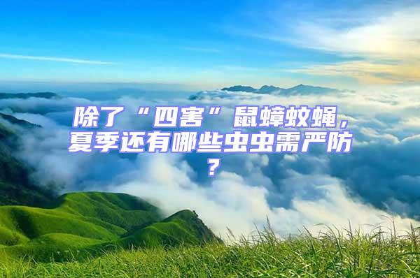 除了“四害”鼠蟑蚊蠅，夏季還有哪些蟲蟲需嚴防？