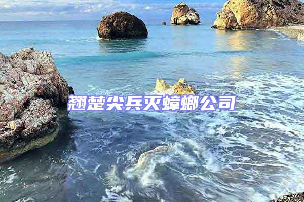 翹楚尖兵滅蟑螂公司