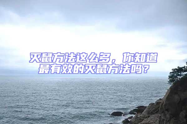 滅鼠方法這么多，你知道最有效的滅鼠方法嗎？