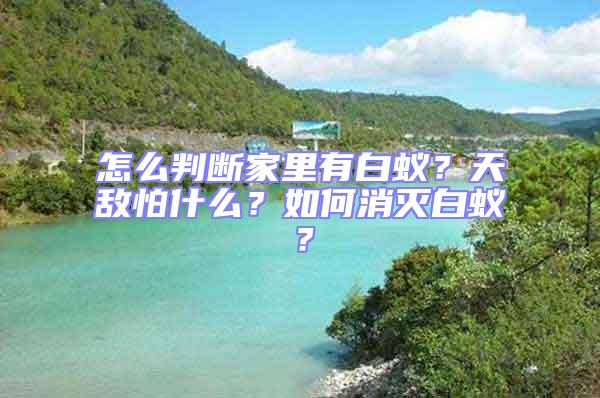 怎么判斷家里有白蟻？天敵怕什么？如何消滅白蟻？