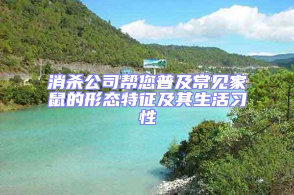 消殺公司幫您普及常見家鼠的形態特征及其生活習性