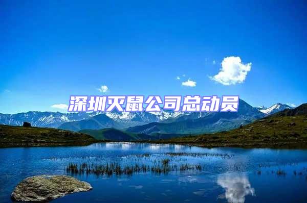 深圳滅鼠公司總動員