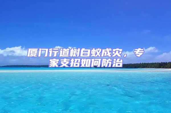廈門行道樹(shù)白蟻成災(zāi)，專家支招如何防治