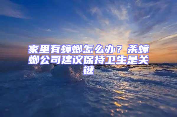 家里有蟑螂怎么辦？殺蟑螂公司建議保持衛生是關鍵